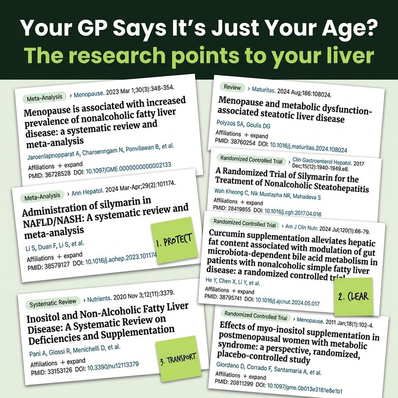 Uvera research – liver studies