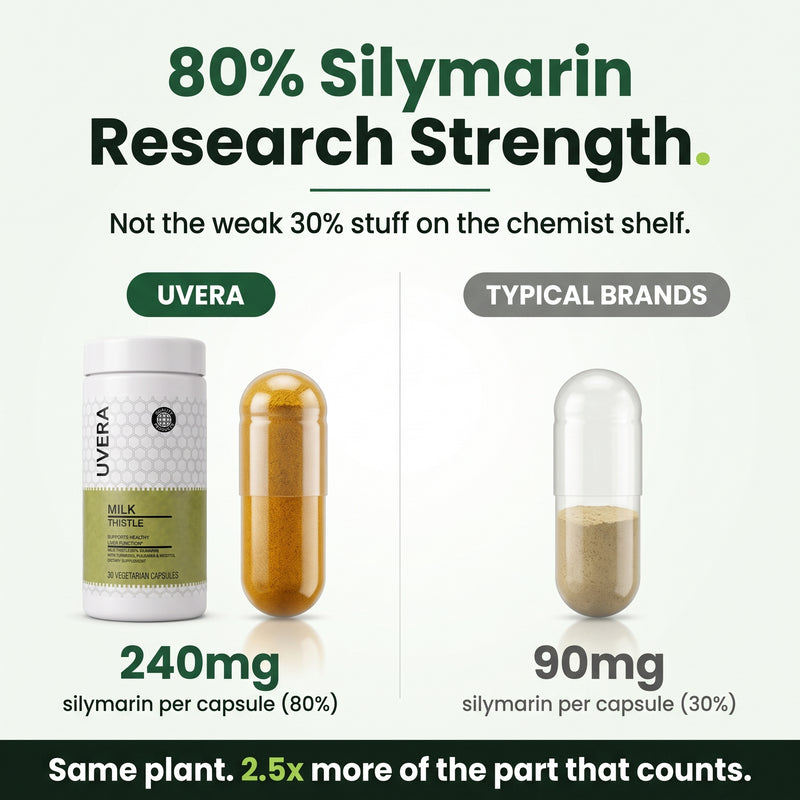 Uvera 80% silymarin vs typical brands 30%