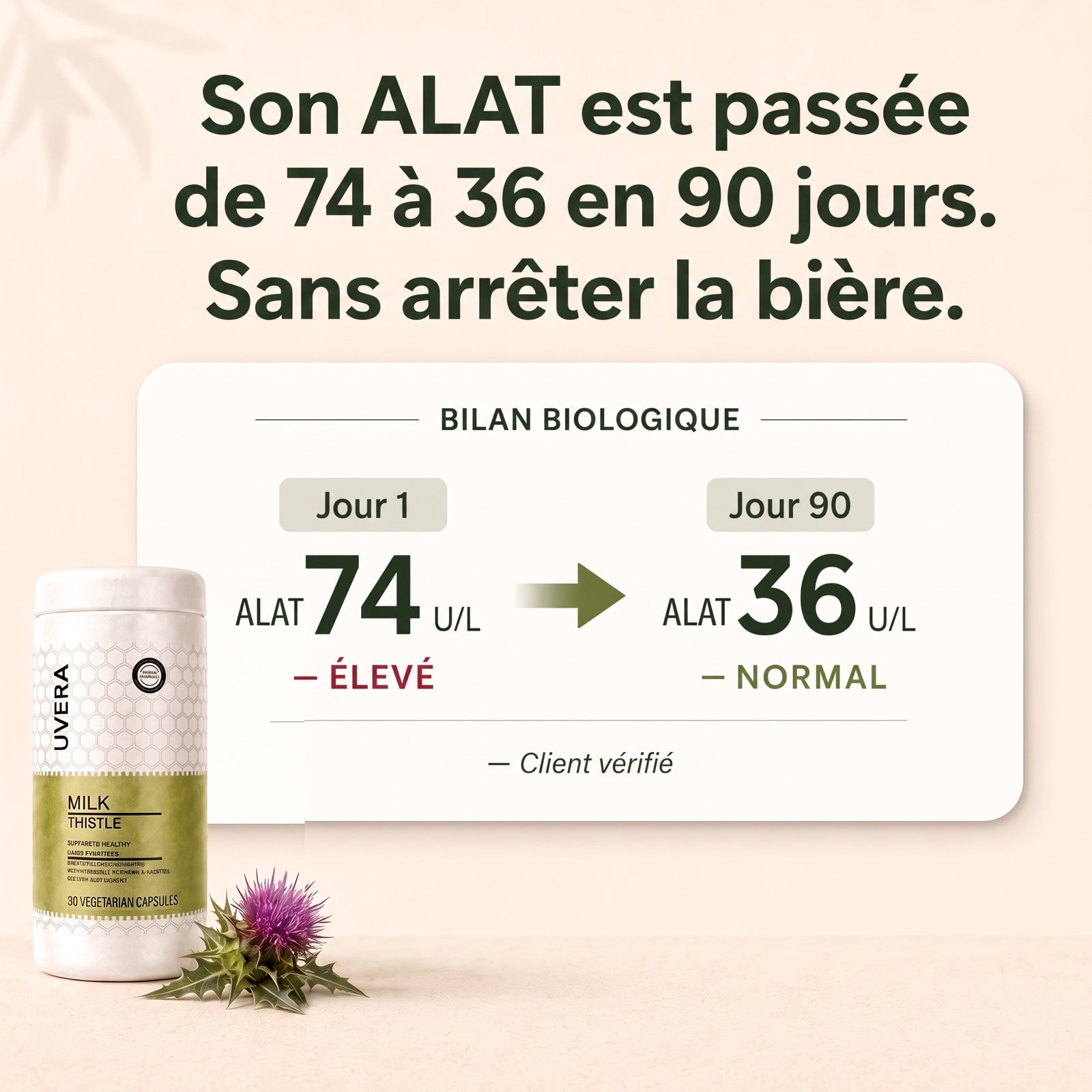 Uvera Chardon-Marie 3